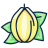 Carambola-Starfruit-Flat icon