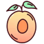 Apricot Open Flat icon