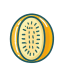 Honeydew Melon Flat icon