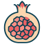 Pomegranate Flat icon