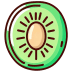 Kiwifruit-Flat icon
