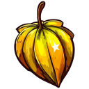 Carambola-Starfruit-Illustration icon