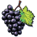 Grape Black Illustration icon