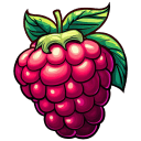 Raspberry-Illustration icon