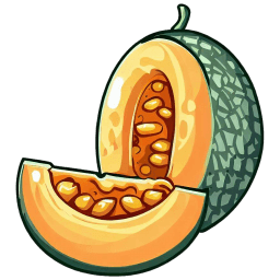 Honey Melon Illustration icon