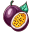 Passionfruit Illustration icon