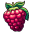 Raspberry Illustration icon