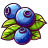 Blueberry-Illustration icon
