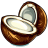 Coconut-Illustration icon