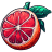Red-Grapefruit-Illustration icon