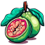 Guava Illustration icon