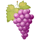 Grape Red icon