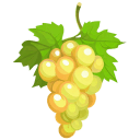 Grape-Yellow icon