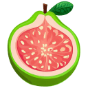 Guava Open icon