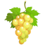 Grape Yellow icon