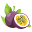 Passionfruit icon
