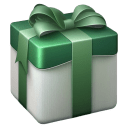 White Green Gift icon