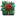 Green With Rose 1 Gift icon