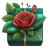 Green-With-Rose-1-Gift icon