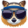 Raccoon Avatar icon