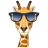 Giraffe-Avatar icon