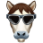 Horse-Avatar icon