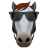 Horse Long Avatar icon