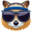 Raccoon-Avatar icon