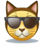 Cat Cape Avatar icon