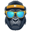 Gorilla Blue Avatar icon