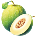 Honeydew-Galia-Melon-Illustration icon