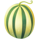 Piel-Sapo-Melon-Illustration icon