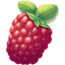 Raspberry-Illustration icon