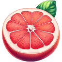 Red Grapefruit Illustration icon