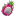 Dragonfruit Pitaya Illustration icon