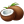 Coconut Illustration icon