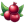 Cranberry Illustration icon
