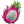 Dragonfruit Pitaya Illustration icon