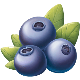 Blueberry Illustration icon