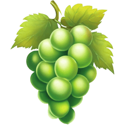 Grape Illustration icon