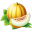 Honeymelon Illustration icon