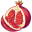 Pomegranate Illustration icon