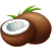 Coconut-Illustration icon