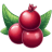 Cranberry-Illustration icon