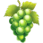 Grape-Illustration icon