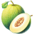 Honeydew-Galia-Melon-Illustration icon