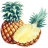 Pineapple-Open-Illustration icon