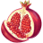 Pomegranate-Illustration icon