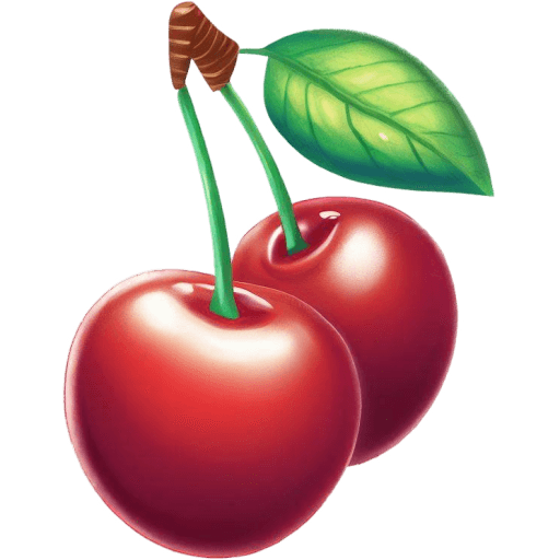Cherry-Illustration icon