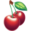 Cherry Illustration icon